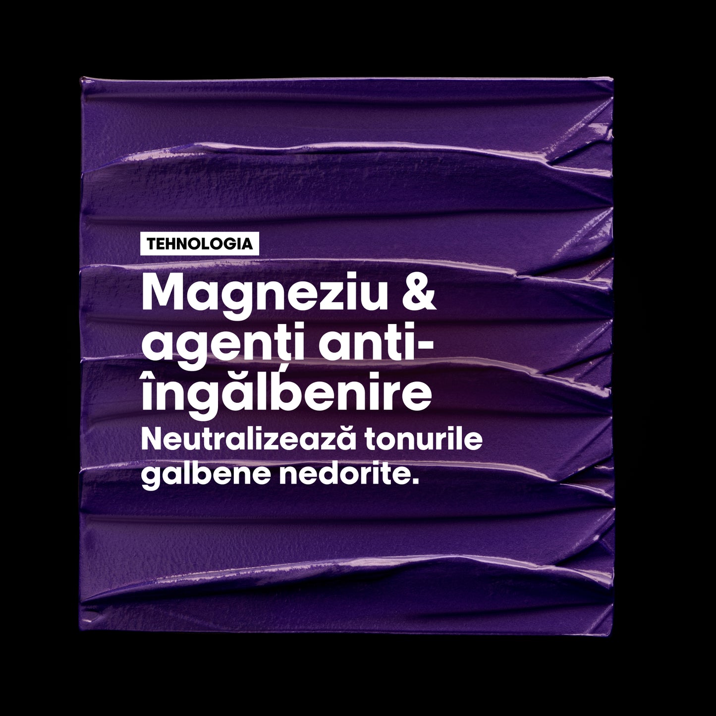 Sampon neutralizator pentru par alb & gri profesional L’Oreal Professionnel SE Silver, pentru a neutraliza tonurile galbene nedorite, cu magneziu si agenti anti-ingalbenire, vegan, 300ml
