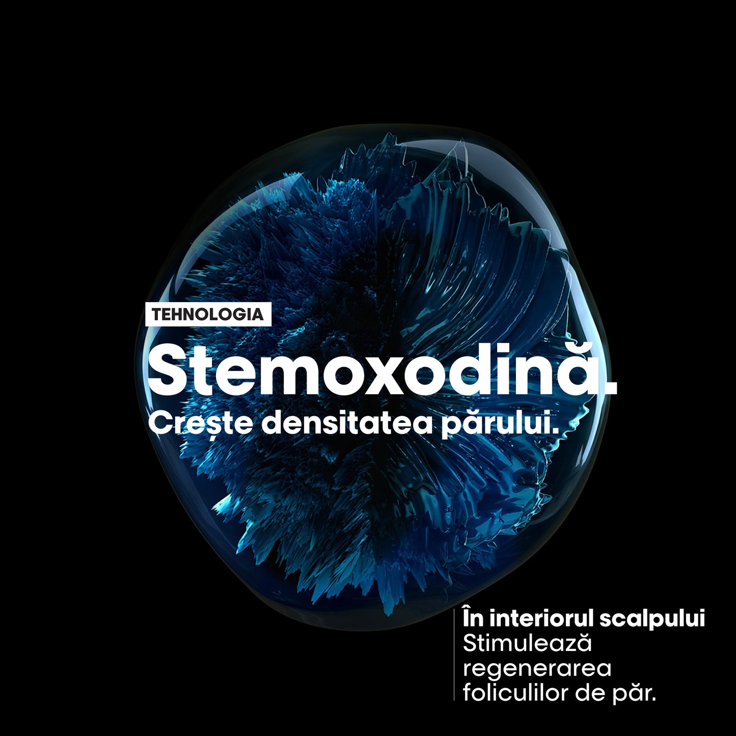 Sampon purificator pentru mai multa densitate, pentru par fin L'Oréal Professionnel Serie Expert Serioxyl Advanced, cu magneziu, aprobat dermatologic, fara siliconi si alcool, 300ml