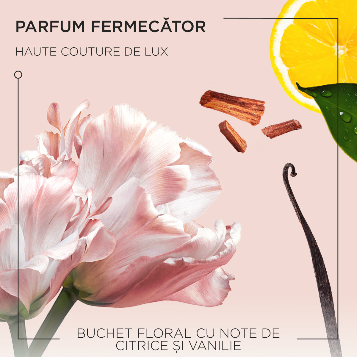 Kérastase Gloss Absolu Bain Hydra-Glaze Sampon pentru par lung, predispus la electrizare 80 ml