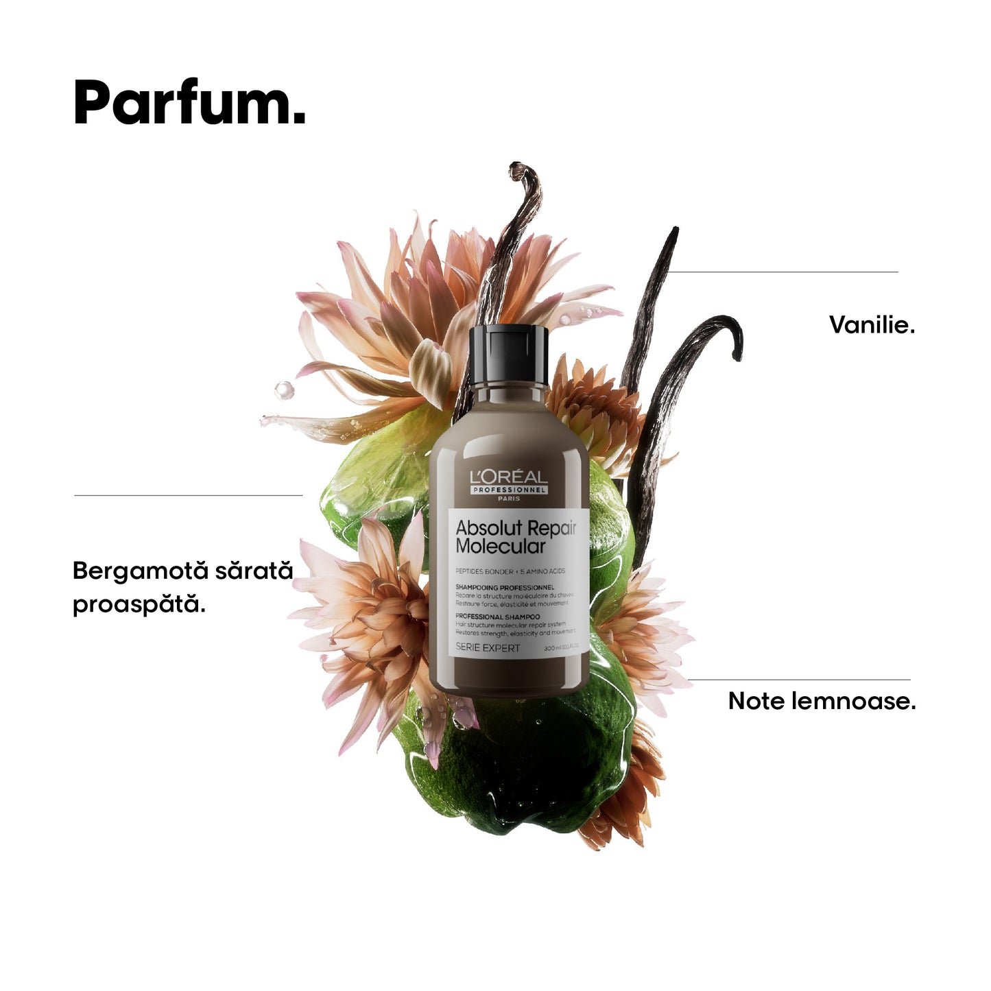 Set format din Sampon & Rezerva L’Oreal Professionnel SE Absolut Repair Molecular pentru par deteriorat, formulat cu legaturi peptidice si 5 aminoacizi, par puternic & stralucitor, 500ml + 500ml