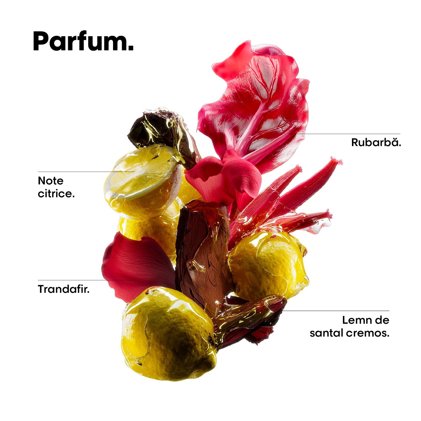 Pachet sampon pentru par vopsit L’Oreal Professionnel SE Vitamino Color Spectrum, pentru fixarea culorii, par mai matasos & puternic, cu Acid Feluric & Acid Citric fara sulfati, produs vegan, 500ml + Rezerva, 500ml