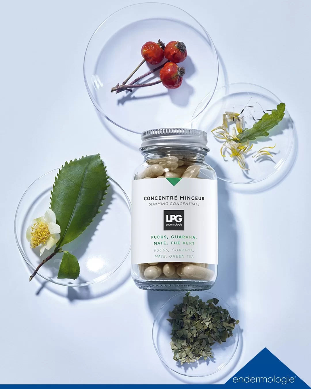 TRATAMENT PENTRU SLĂBIT LPG ENERMOLOGIE - CONCENTRE MINCEUR