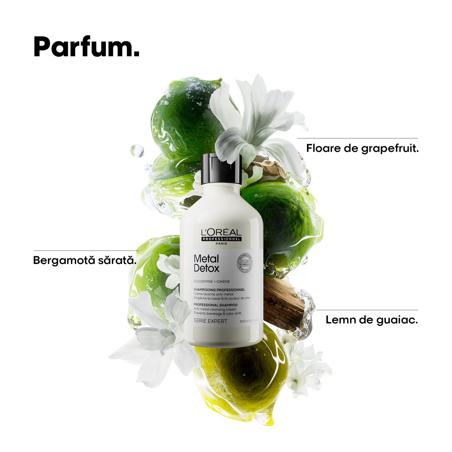 Shampoo for color-treated hair — L'Oréal Professionnel Metal Detox 500ml