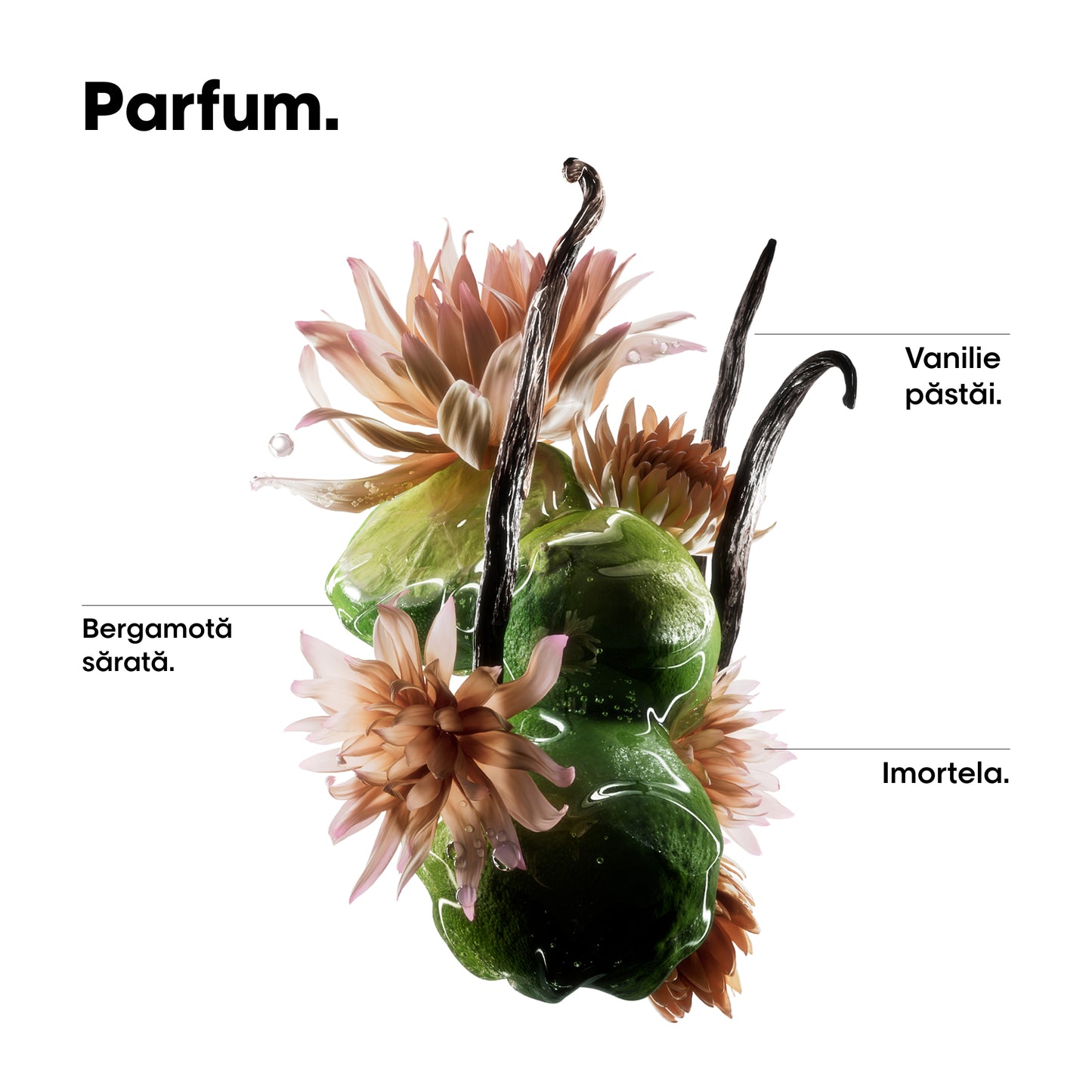 Ulei de par bifazic L’Oreal Professionnel SE Absolut Repair Molecular Oil, efect anti-frizz, nu necesita clatire, fara sulfati, 90ml