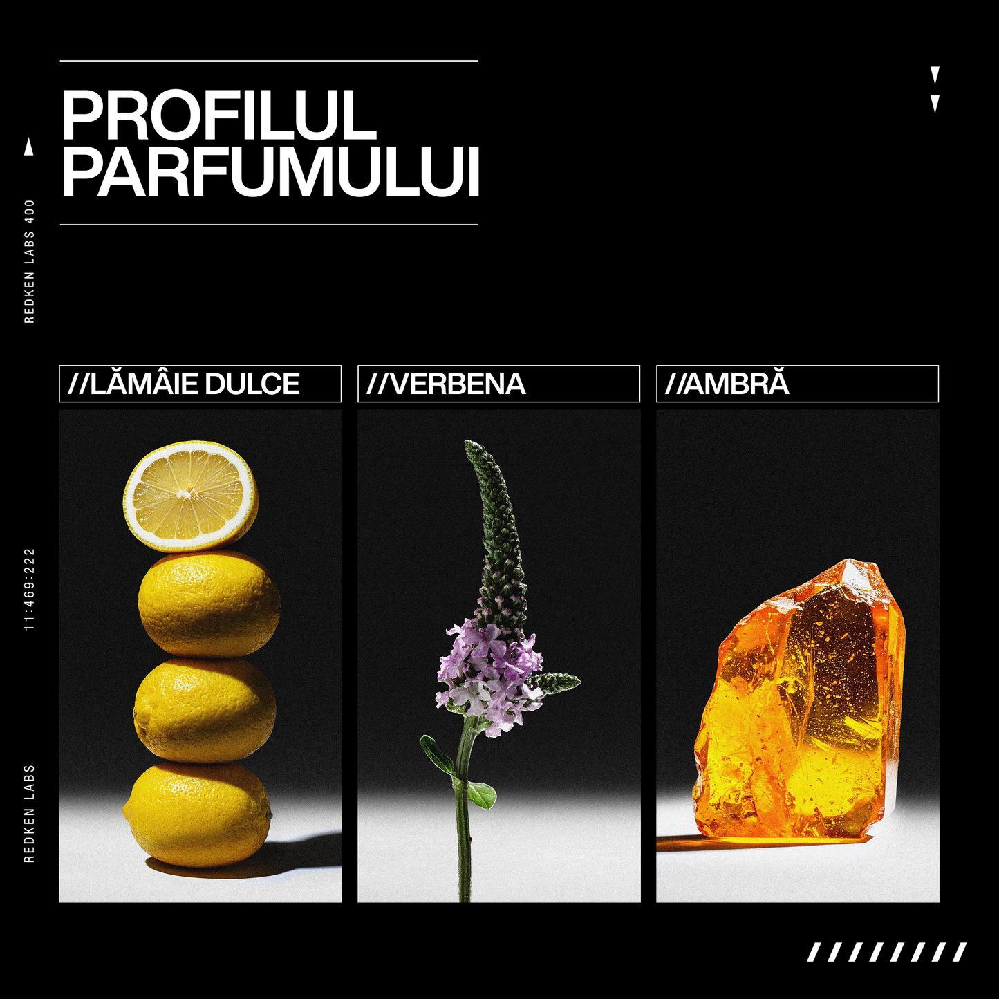 Sampon Redken Acidic Grow Full System cu acid Azelaic, Cafeina si Probiotice, pentru densificarea si fortifierea parului fin predispus la rupere, 300ml