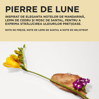 Set Kérastase Elixir Ultime Spring 2026 – Ulei Versatil pentru Strălucire Intensă și Păr Catifelat