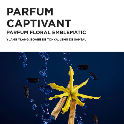 Set Kérastase Nutritive Spring 2026 – Ritual Hidratant pentru Păr Uscat (Ediție Limitată)