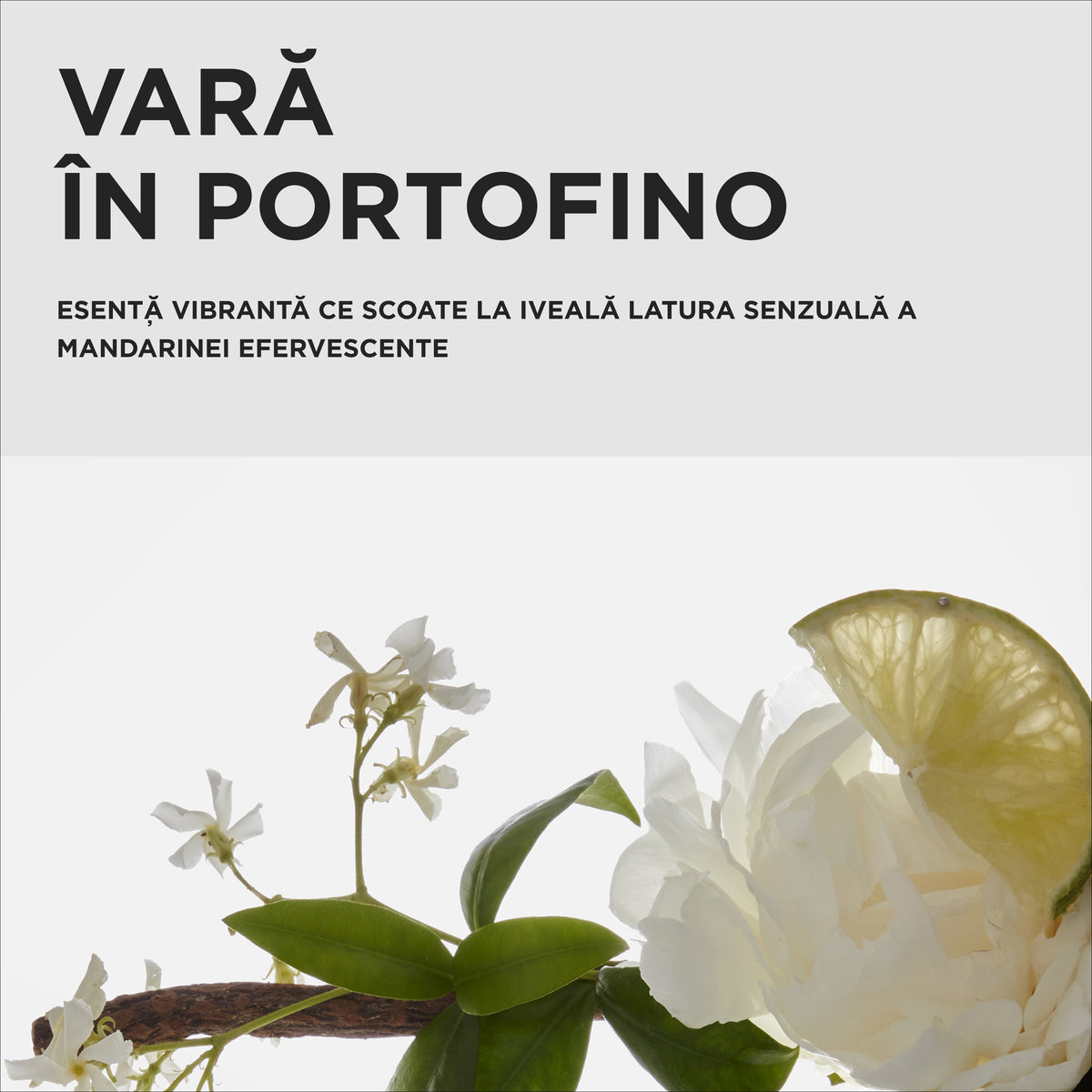 Set Kérastase Première Trio Șpring 2026– Ritual Reparator pentru Păr Deteriorat