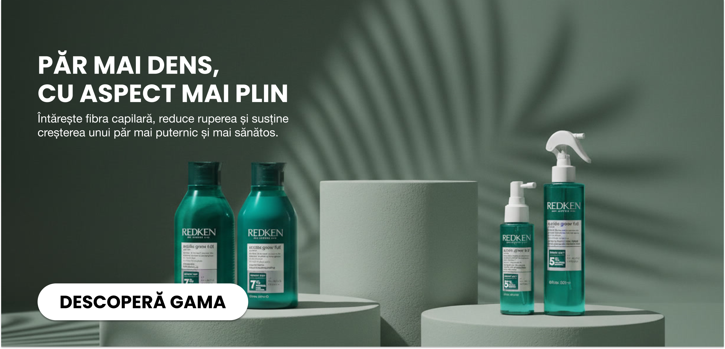 custom-slideshow-image-desktop-block_6fXBah