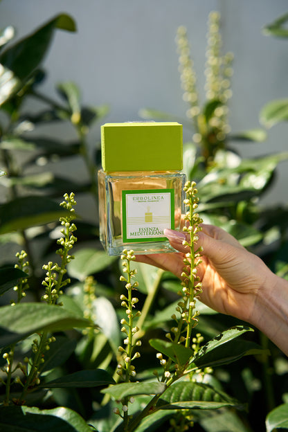 Parfum de ambient ToyaShop Erbolinea Essenza Mediterranea 200ml