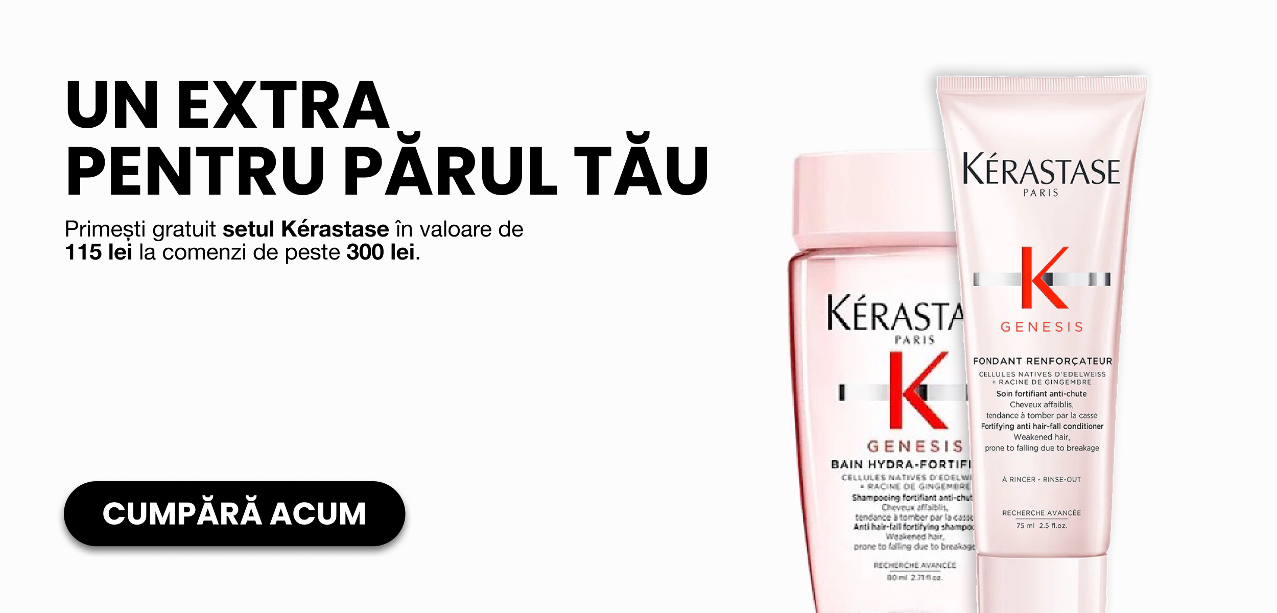 custom-slideshow-image-desktop-block_yxUJLP