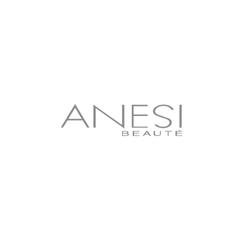 ANESI LOGO