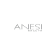 ANESI LOGO